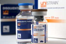 New PRRS vaccine introduced to European swine veterinarians New PRRS vaccine introduced to European swine veterinarians