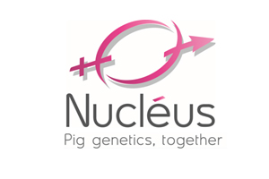 Nucleus exports pigs to China