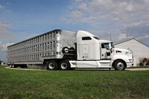 So-called pot-belly (PB) trailers are quite common in Canada.