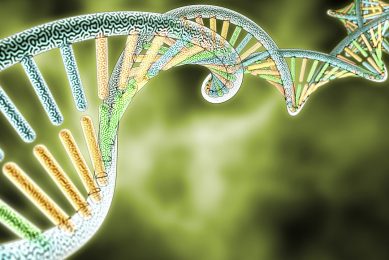 For the first time, the total genome of the ASF virus has been mapped. Illustration: Shutterstock