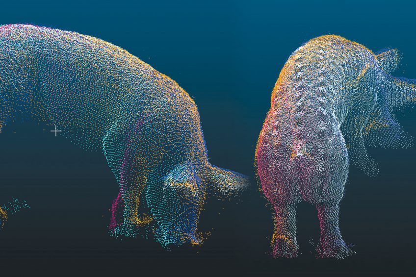 Literally all the dots are connected with this 3-D finisher image. Photo: IFIP