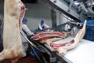 Belgian pork exports up marginally
