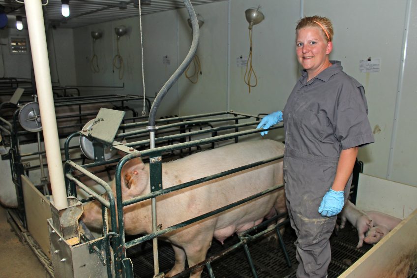 Kelly Dodge, swine instructor at Iowa Lakes Community College, in one of the farrowing crates. Photo: Vincent ter Beek