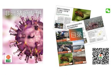 Misset publishes Chinese ASF edition   exclusively on WeChat