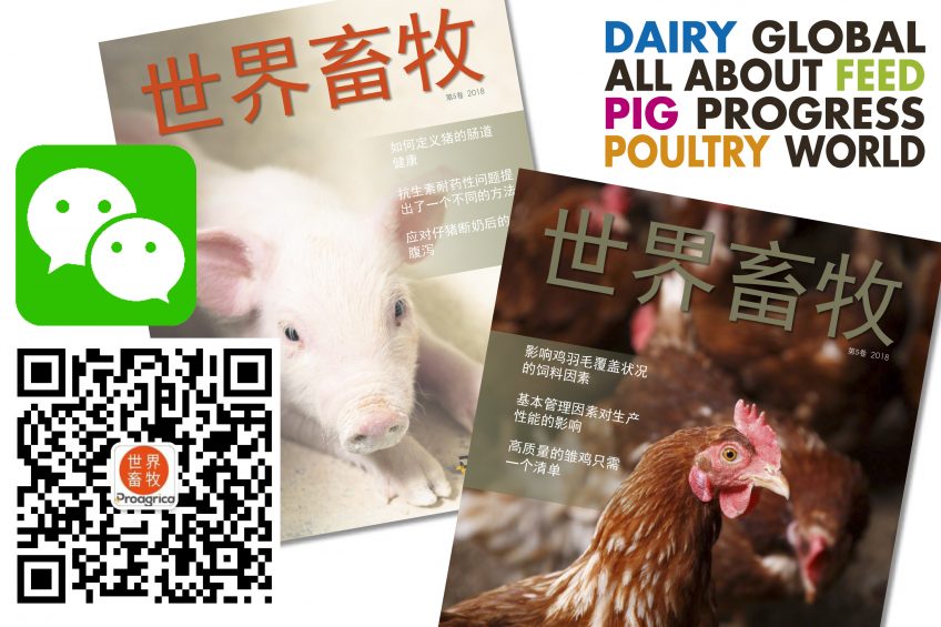 Pig Progress celebrates its WeChat launch in China