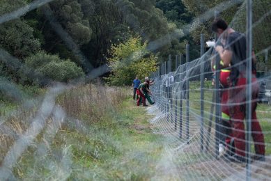 In full swing: the construction of permanent metal fences at the border between Poland and Germany. - Photo: ANP/ EPA/ Hayoung Jeon