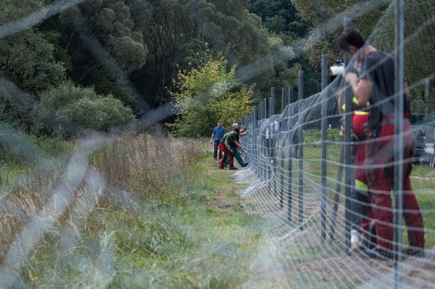 In full swing: the construction of permanent metal fences at the border between Poland and Germany. - Photo: ANP/ EPA/ Hayoung Jeon