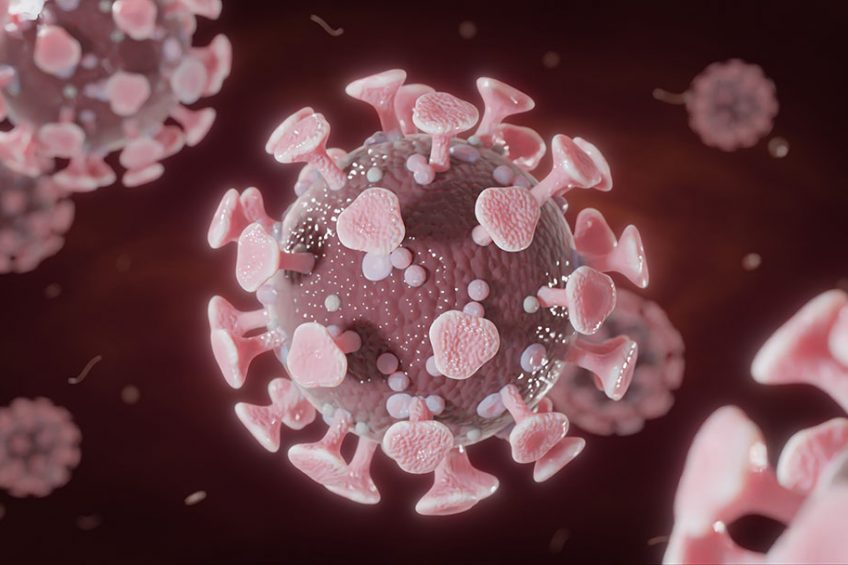 Artist's impression of a SARS-CoV-2 virus particle. - Illustration: Shutterstock