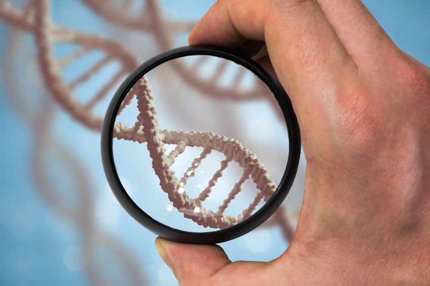 Impact of genetics on weaning process. Photo: Shutterstock / vchal