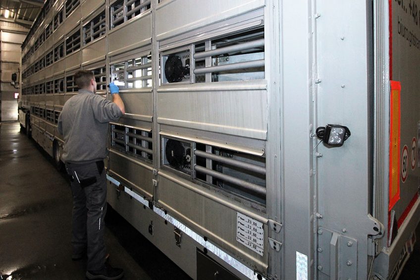 Every inch of the livestock truck is inspected thoroughly.