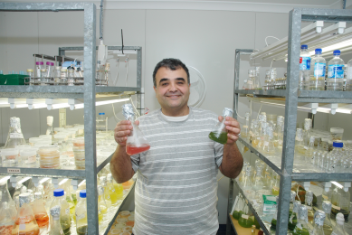 Dr Navid Moheimani at Murdoch University's Algae R&D Centre.