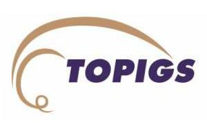 A first for Topigs - breeding pigs shipped to Nigeria