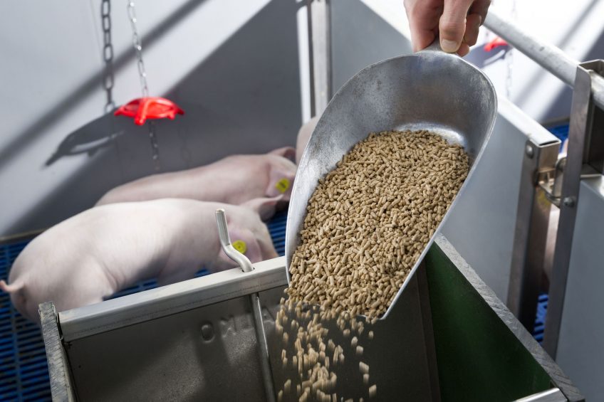 Role of carefully selected dietary fibres. Photo: Trouw Nutrition