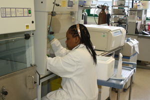 The research laboratory at Nottingham University's Food Sciences faculty.