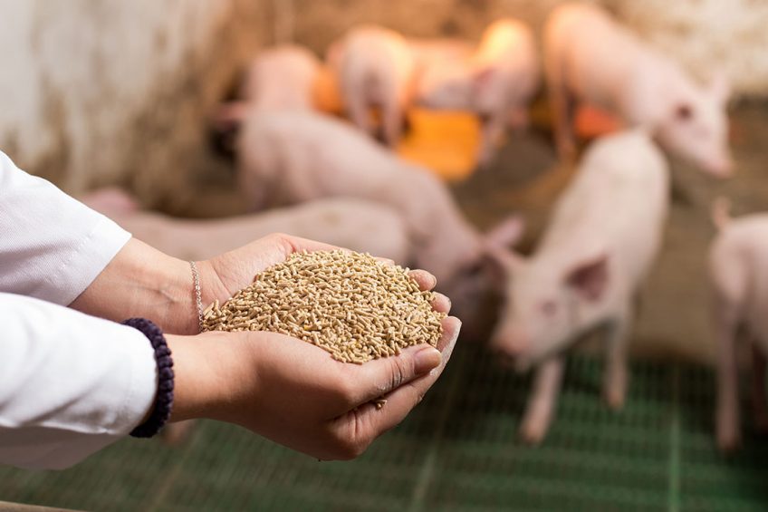 Act with nature to deliver sustainable animal care - Pig Progress