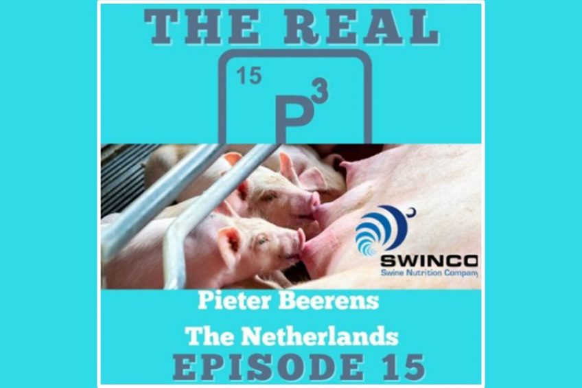 Podcast: 37 piglets/sow for Dutch pig farmer