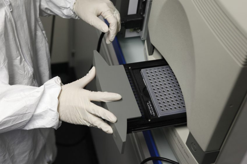 PCR tests are used to detect pathogens themselves. Photo: Thermo Fisher