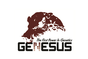 People: Genesus announces new general manager