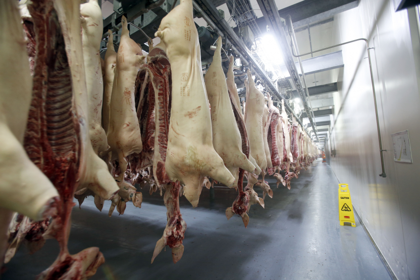 Huge decrease in pork imports to Ukraine