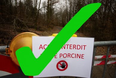 Restrictions have applied for a long time in forests in the south of Belgium s Luxembourg province. - Photo: Twan Wiermans