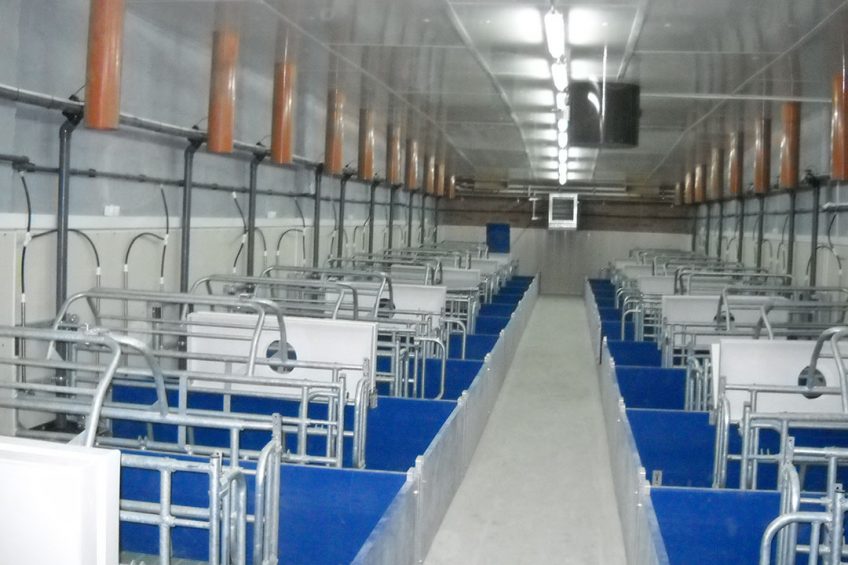 A modern pig farm in Kazakhstan. Photo: Friedrich-Wilhelm Busse