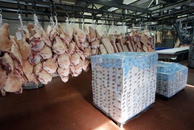 2017 will see record pork volume shipped to China. Photo: Bert Jansen