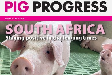 Stress, semen and South Africa in Pig Progress 5