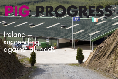 Pig Progress 4: Ireland, nutrition & gut health