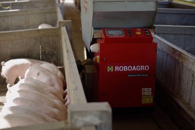 The Roboagro feeder in action at a farm in Brazil. - Photo: Roboagro