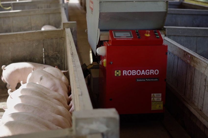 The Roboagro feeder in action at a farm in Brazil. - Photo: Roboagro