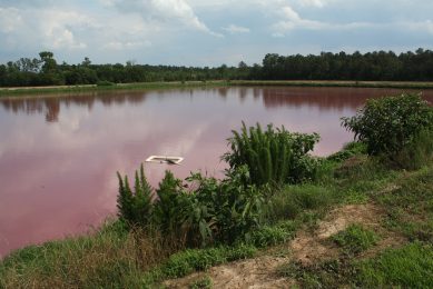 A lagoon next to a pig farm could cause complaints from local residents. Photo: Vincent ter Beek