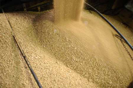Soybean meal &apos;gold standard in animal feed&apos;