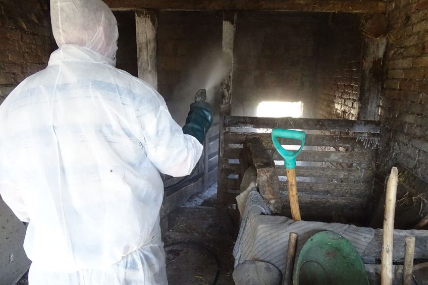 Disinfection of a pig farm in Poland. Photo: Iwona Markowska-Daniel