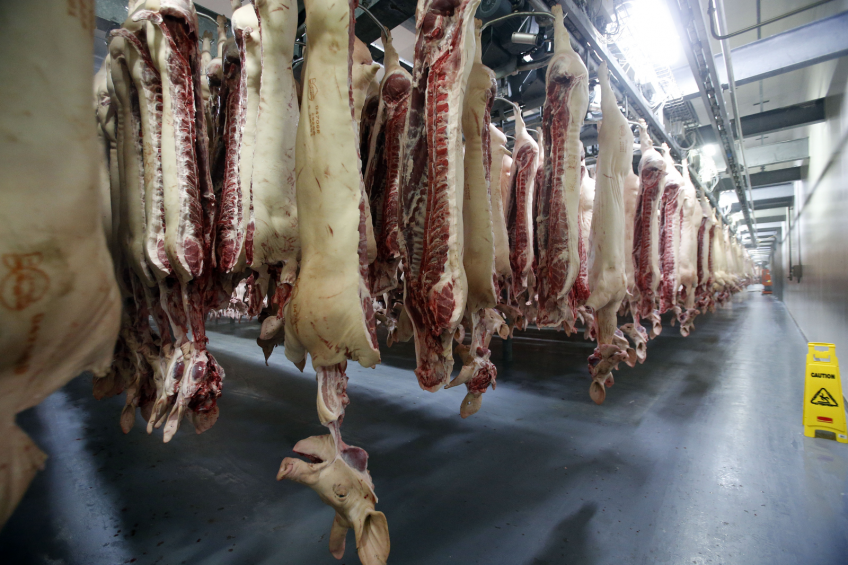 Russia to lift ban on pork imports from Belarus