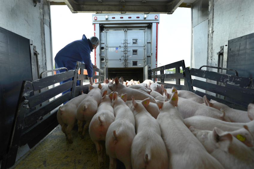 US Pork producers urge quick passage of TPA