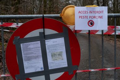 The infected zone in Wallonia has been fenced off. This closing off is not going down well with hunters and tourists. Photo: Twan Wiermans