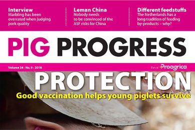 FMD, fever and Florence in Pig Progress 9
