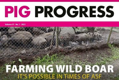 Boars, breeding and Biden in Pig Progress 1