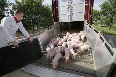 En la limpieza y desinfección de vehículos, debe prestarse atención al cuerpo del camión y a la rampa de carga.