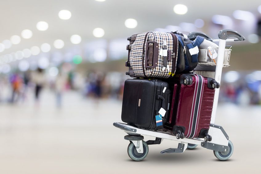 Pork in luggage is posing a serious risk for ASFv contamination into the US, researchers found. Photo: Shutterstock