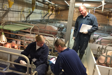 Day two of Zinpro's Feet First Training in the Netherlands took a practical approach allowing the participants to examine pig claws with the aid of the FeetFirst app.