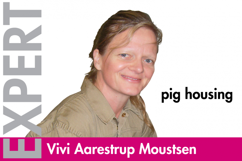 Vivi Aarestrup Moustsen