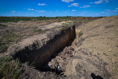 ASF on Romania s largest pig farm: 140,000 pigs culled. Photo: Daniel Mihailescu/AFP