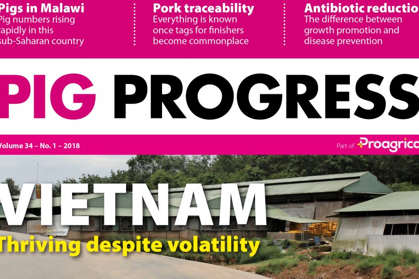 Pig Progress goes on-farm in Vietnam in latest issue