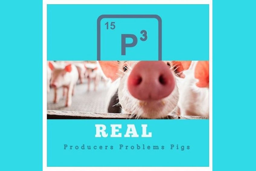 New: Podcast series reaching out to pig producers worldwide