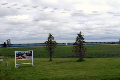 Every pig barn in Canada, every assembly yard, every packing plant needs to record and submit data within seven days of pigs coming and going to a central database -  PigTrace  that Canada runs.