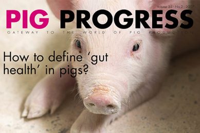 Latest issue of Pig Progress: How to define gut health. Photo: RBI