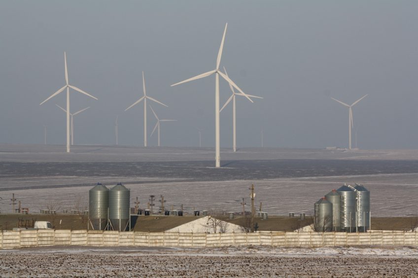 The breeding farm, located near Fântânele, is located in the middle of a windmill park.