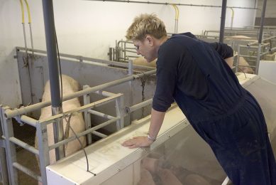 Annechien Ten Have inspects the sow and piglets in the free farrowing system on her farm in the Netherlands. Photo: Jan Willem Schouten
