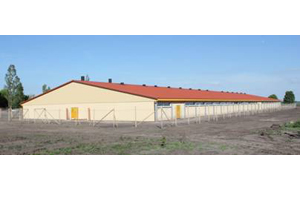 The new nucleus farm built by ELITA Ltd. will house 600 GGP sows and 40 boars, delivered by RA-SE Genetics.